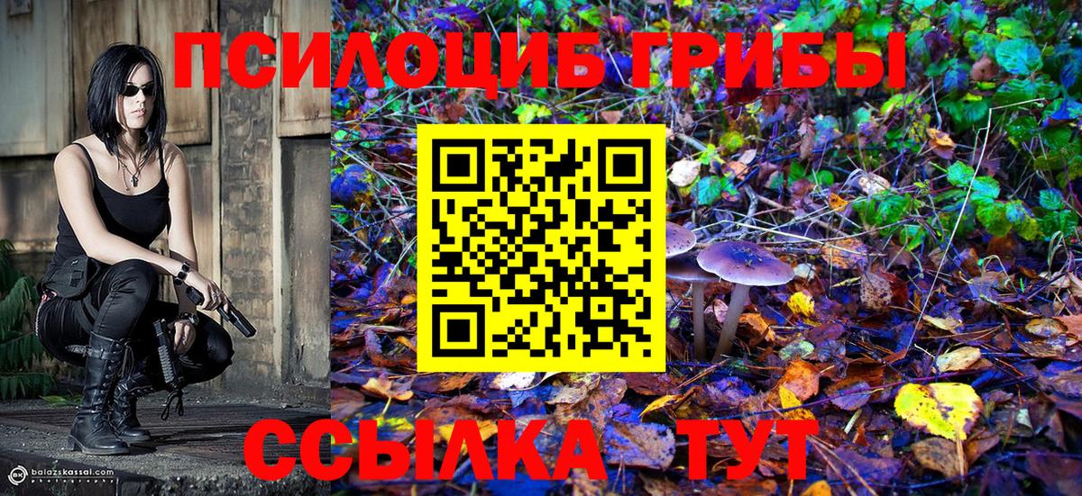 Волгоград  Галлюциногенные грибы Cubensis  Вход с VPN 